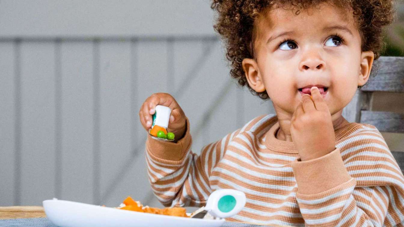 Why Toddlers Need Special Food For This Purpose