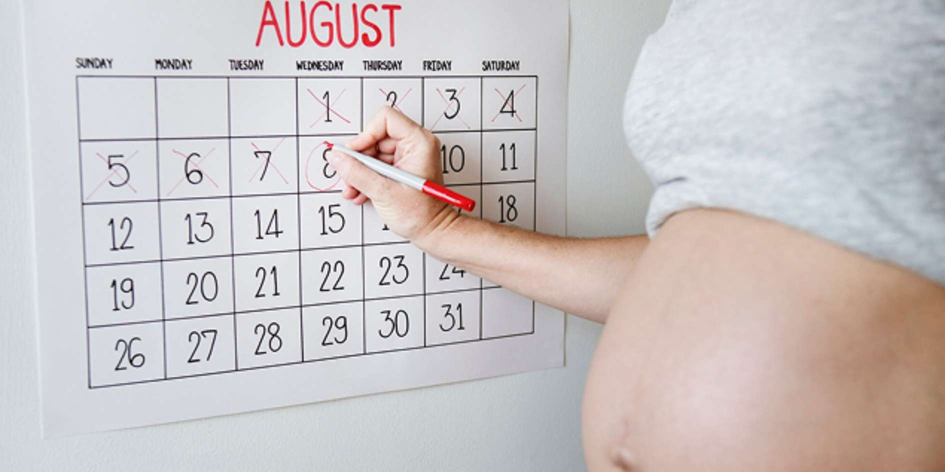 A Deep Dive into the Science of Twin Pregnancy In August